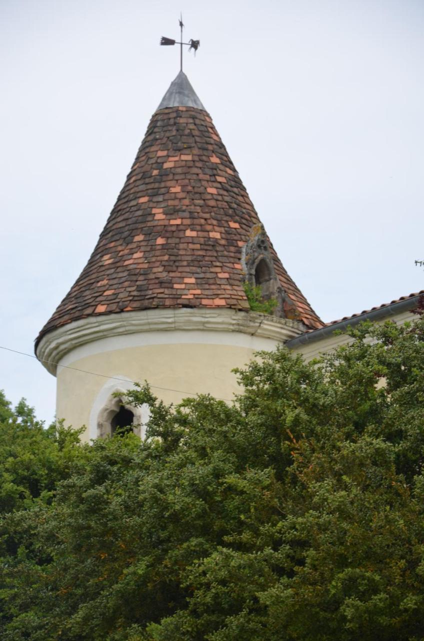 Chambres d'Hôtes du Chateau de Saint Sulpice La Sauvetat-sur-Lède Exterior foto